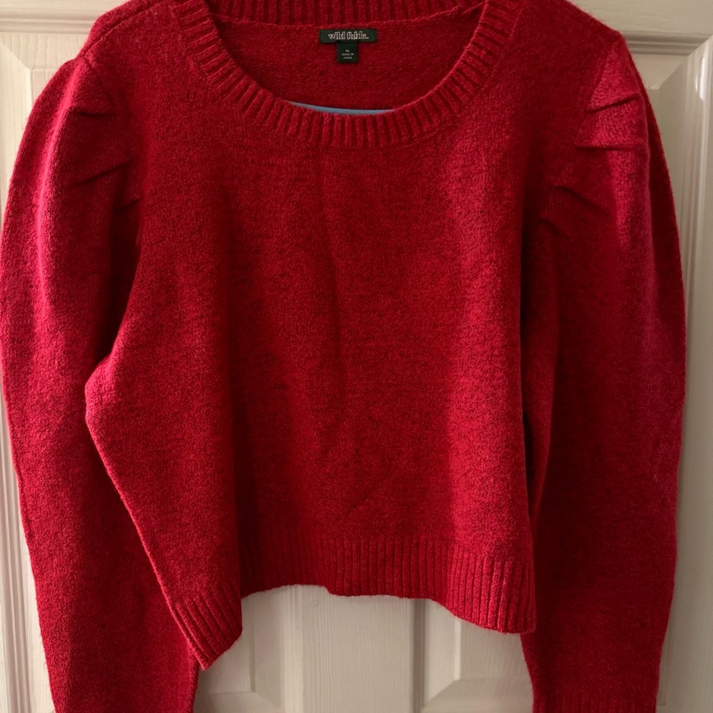 Red sweater nwot